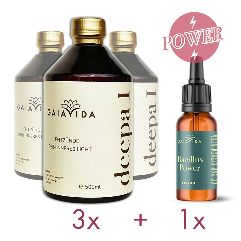 deepa-Power-Set