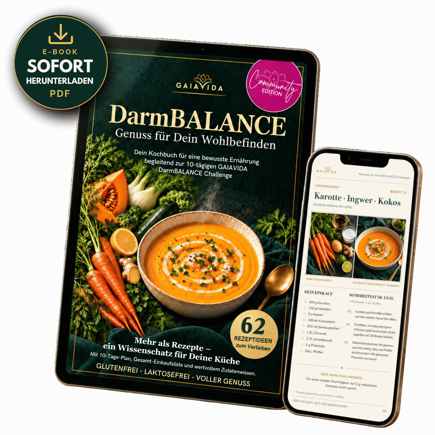 DarmBALANCE – Das Rezeptbuch | E-Book