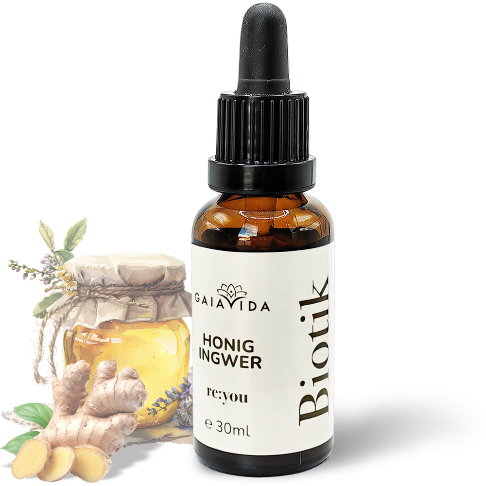 re:you Biotik - Honig Ingwer re:you Biotik - Honig Ingwer
