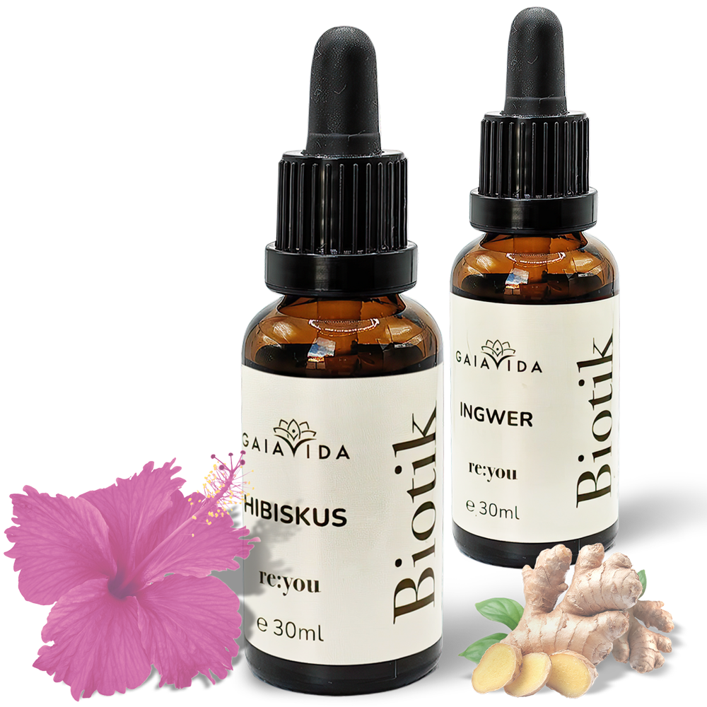 re:you Biotik - 2er Set Hibiskus & Ingwer re:you Biotik - 2er Set Hibiskus & Ingwer