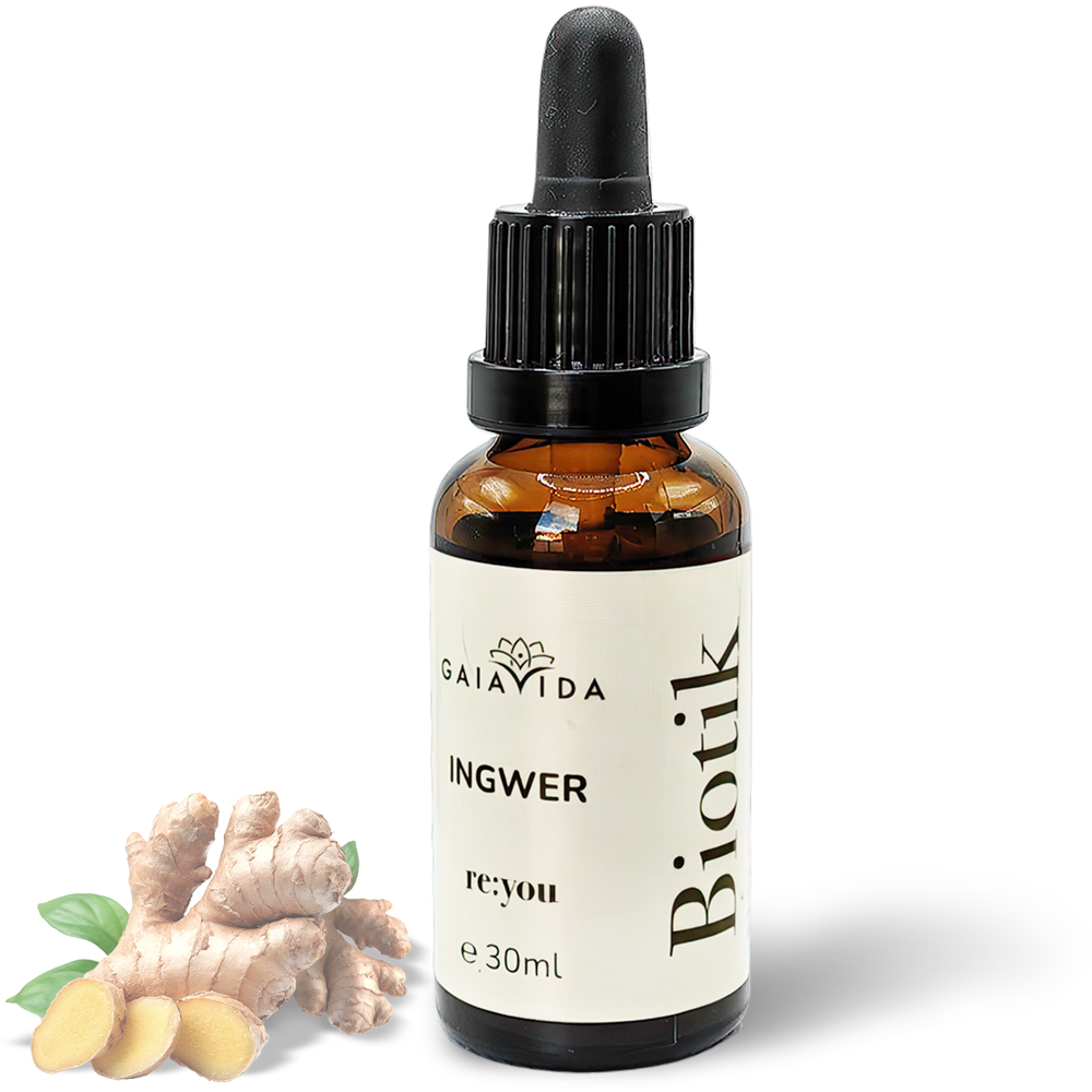 re:you Biotik - Ingwer re:you Biotik - Ingwer